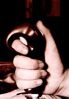 tn_joy.jpg (5407 bytes)
